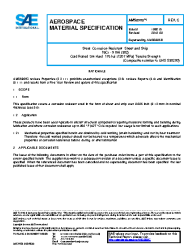 SAE AMS 5905C:2018-08-08