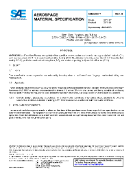 SAE AMS 6499B:2019-01-04