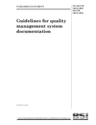 PD ISO/TR 10013:2001
