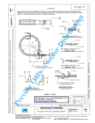 SAE AS 21919A:2017-08-24