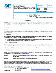 SAE AMS 6953A:2022-05-24