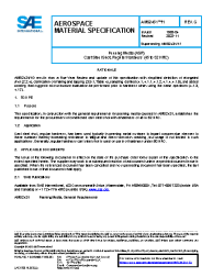SAE AMS 2431/1G:2022-11-22
