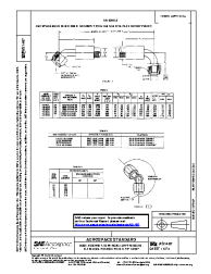 SAE AS 1487:2013-01-02
