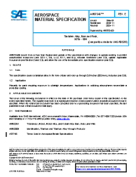 SAE AMS 7848E:2024-11-06