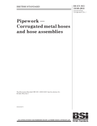 BS EN ISO 10380:2003