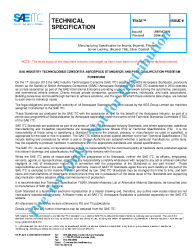 SAE TS 138-6:2004-12-01