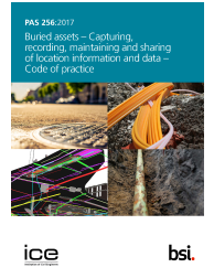 PAS 256:2017