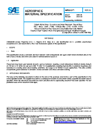 SAE AMS 5920B:2018-08-08