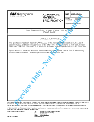 SAE AMS-S-7952A:2002-09-04