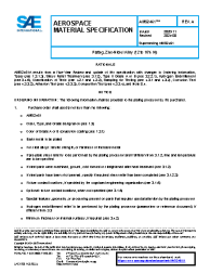 SAE AMS 2461A:2024-08-01