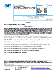 SAE AMS 5022P:2020-04-14