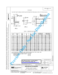 SAE AS 21241:2010-08-13
