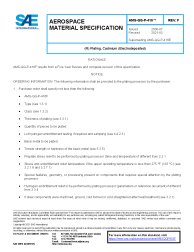 SAE AMS-QQ-P-416F:2021-03-01
