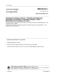 NBN EN 843-1:2007
