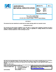 SAE AMS 3892/5C:2016-12-16