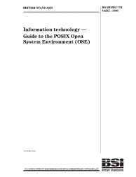BS ISO/IEC TR 14252:1996
