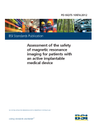 PD ISO/TS 10974:2012