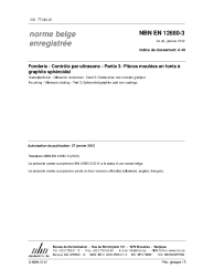 NBN EN 12680-3:2012
