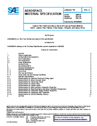 SAE AMS 2980/5A:2021-09-24