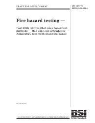 DD IEC/TS 60695-2-20:2004