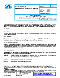 SAE AMS 4204E:2024-11-06