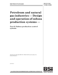 BS EN ISO 13628-6:2006