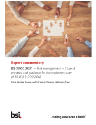 BS 31100:2021 ExComm