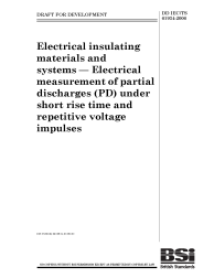 DD IEC/TS 61934:2006