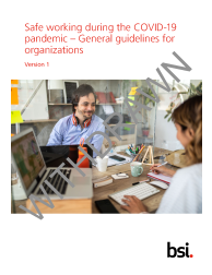 BSI Flex 45005: 1.0 2020 05