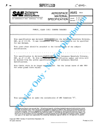 SAE AMS 3825:1982-01-01