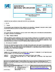 SAE AMS 2483C:2021-01-08