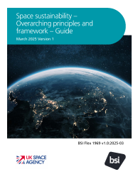 BSI Flex 1969 v1.0:2025-03