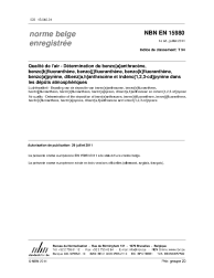 NBN EN 15980:2011