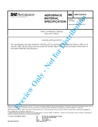 SAE AMS-S-22141A:2003-01-21