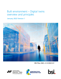 BSI Flex 260: v1.0 2022-01