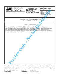 SAE AMS-S-18732B:2000-07-01