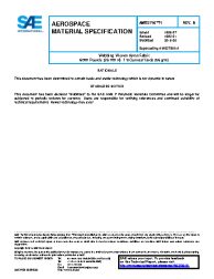 SAE AMS 3795/1B:2016-06-13