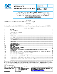SAE AMS 3970/6:2016-12-05