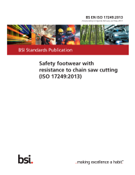 BS EN ISO 17249:2013
