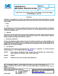 SAE AMS 4369:2018-07-25
