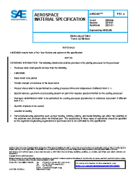 SAE AMS 2489A:2021-01-08