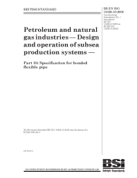 BS EN ISO 13628-10:2006