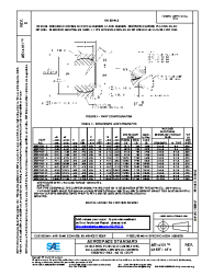 SAE AS 14101E:2018-05-14