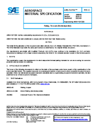 SAE AMS-P-81728C:2023-05-24