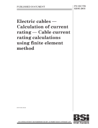 PD IEC/TR 62095:2003