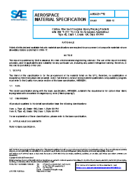 SAE AMS 6891/2:2020-12-29