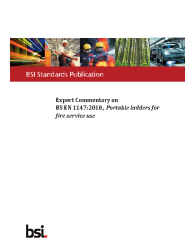 BS EN 1147:2010 ExComm (Fire)