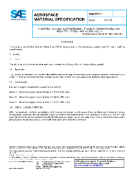 SAE AMS 7013:2019-01-03