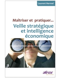 Maîtriser et pratiquer... Veille stratégique et intelligence économique