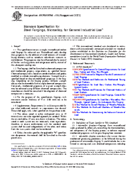 ASTM A909/A909M-06(2021)